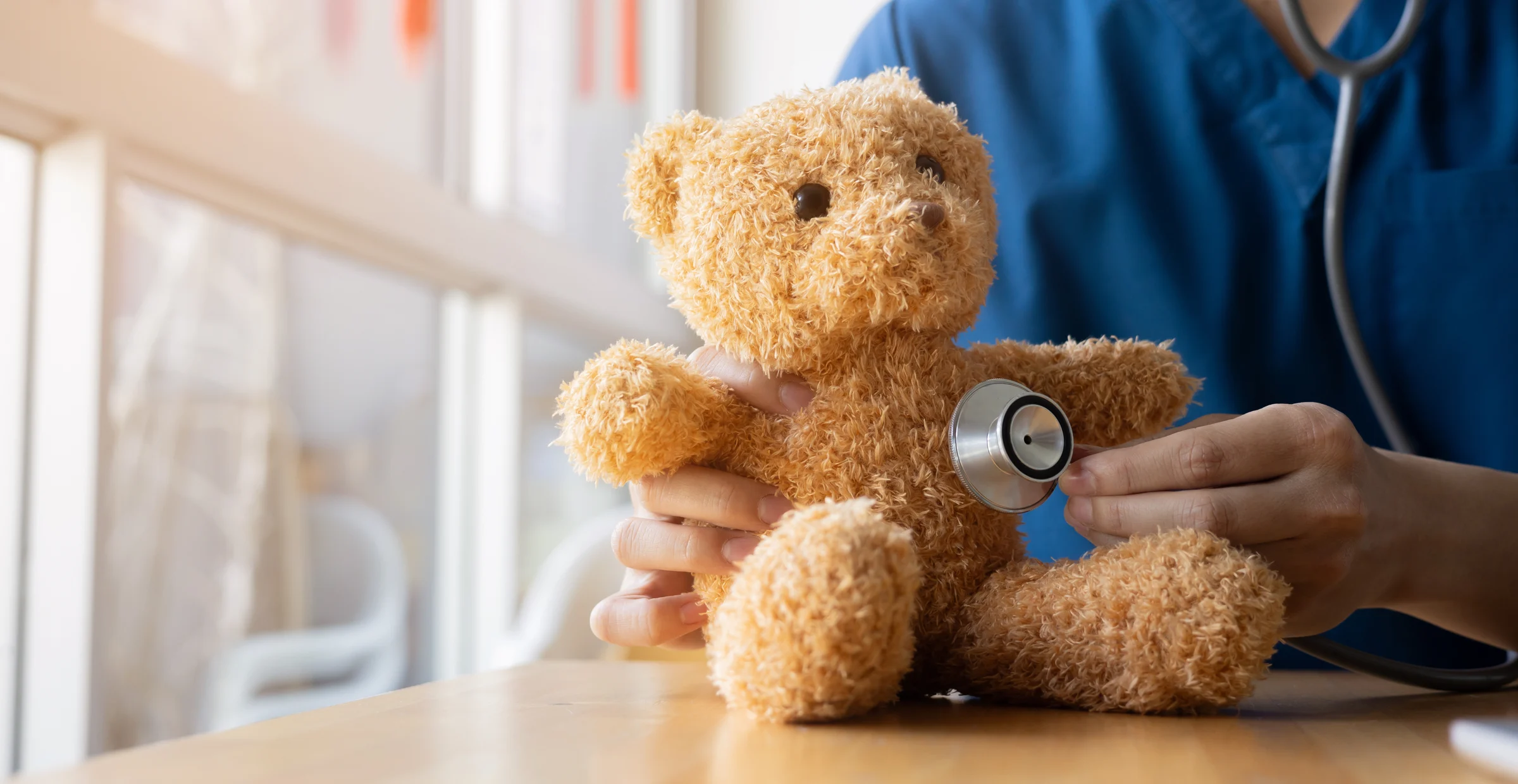 Teddy Bear